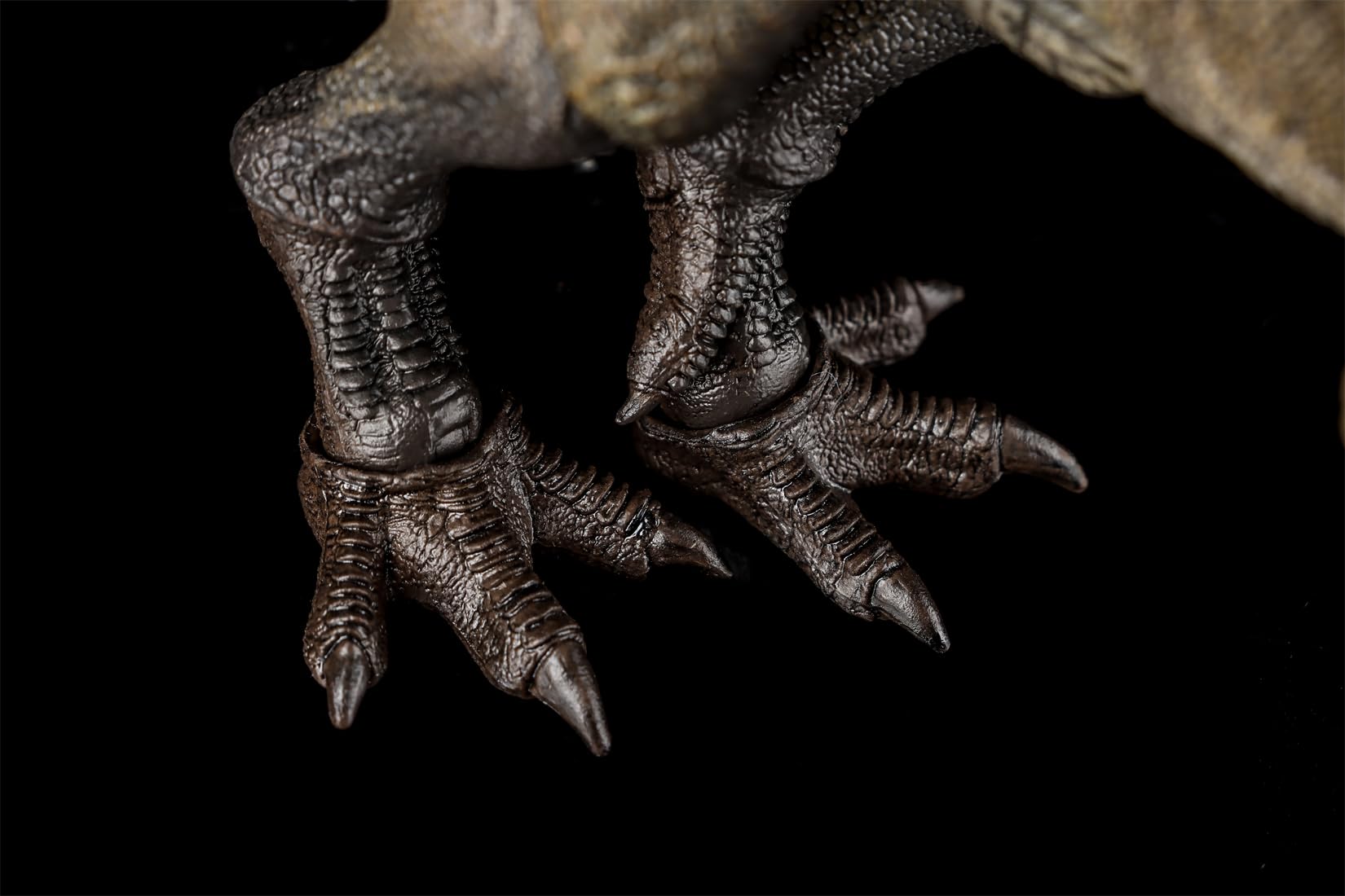 Amazon.co.jp: Nanmu 本心楠改 アロサウルス フィギュア 33cm 21箇所